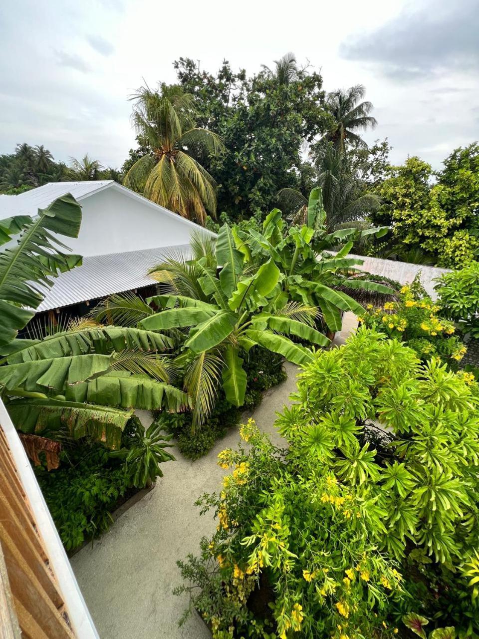 Seaside Dhigurah Hotel Dhigurah  Exterior photo