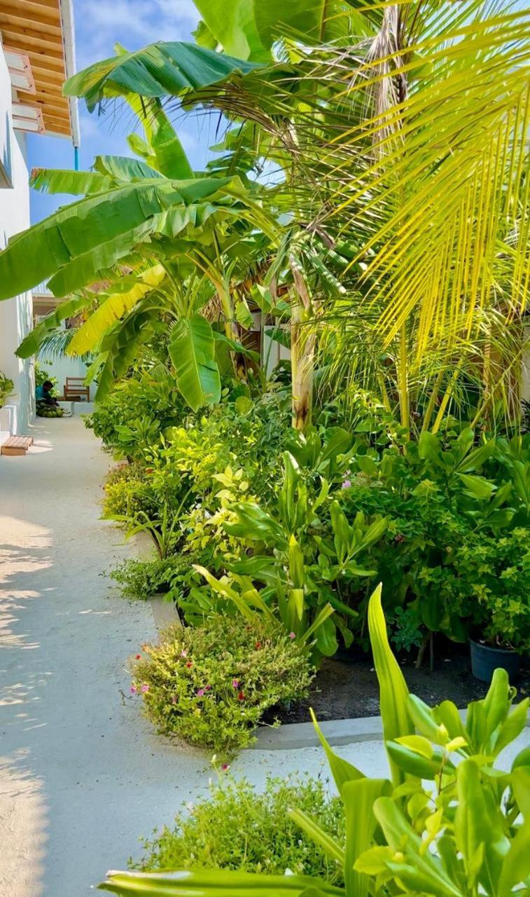 Seaside Dhigurah Hotel Dhigurah  Exterior photo